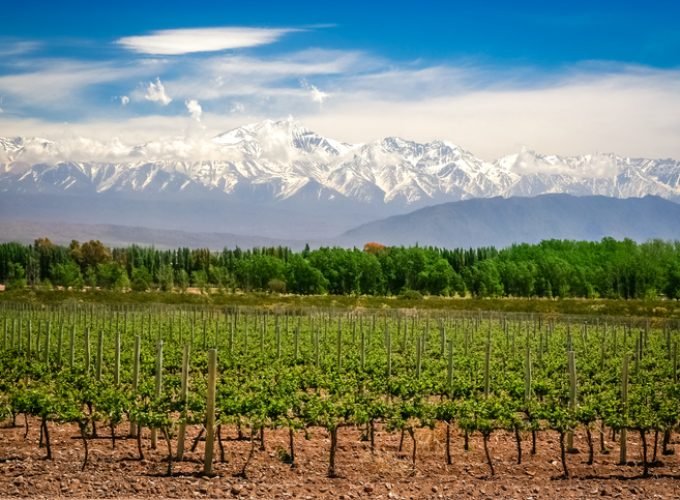SEGREDO DOS ANDES (RODOVIÁRIA)