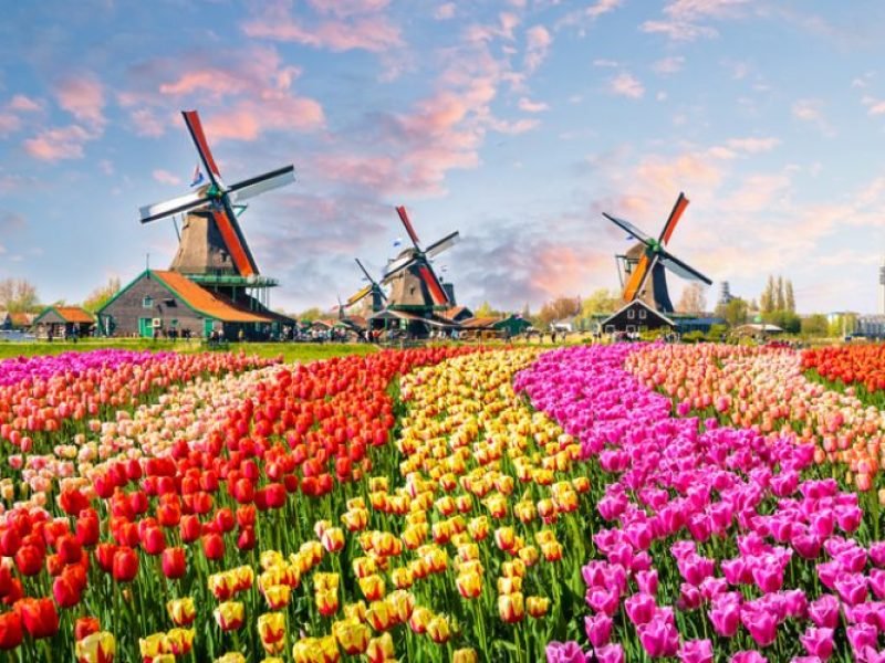 FRANÇA – BÉLGICA & HOLANDA c/KEUKENHOF (FLORADA DAS TULIPAS) 2025