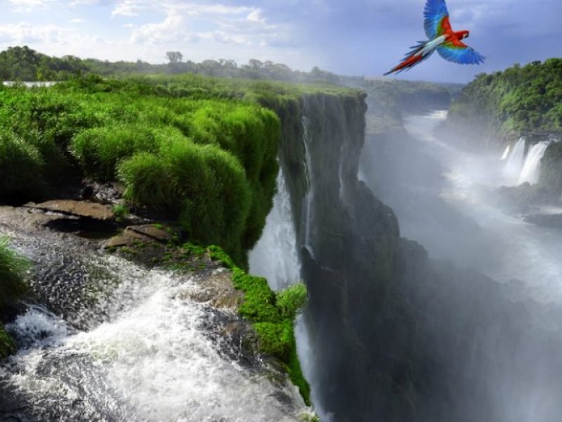 CIRCUITO PARANAENSE – DO LITORAL ÀS CATARATAS DO IGUAÇU