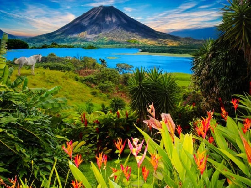 COSTA RICA DO CARIBE AO PACÍFICO C/BOCAS DEL TORO PANAMÁ